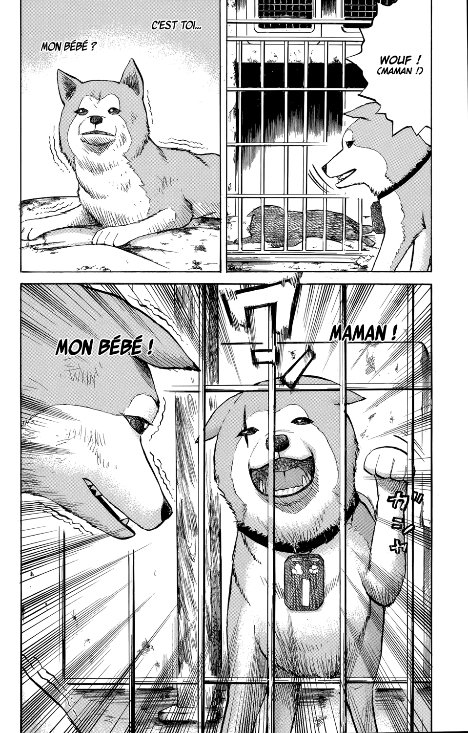 Read NANBA MG5 FR Manga Online