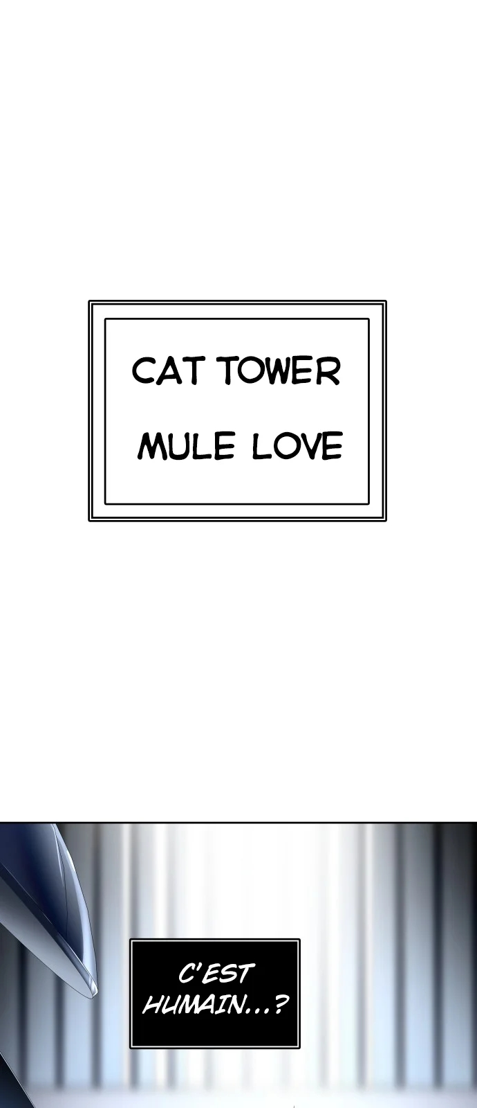 Read Tower Of God FR Manga Online
