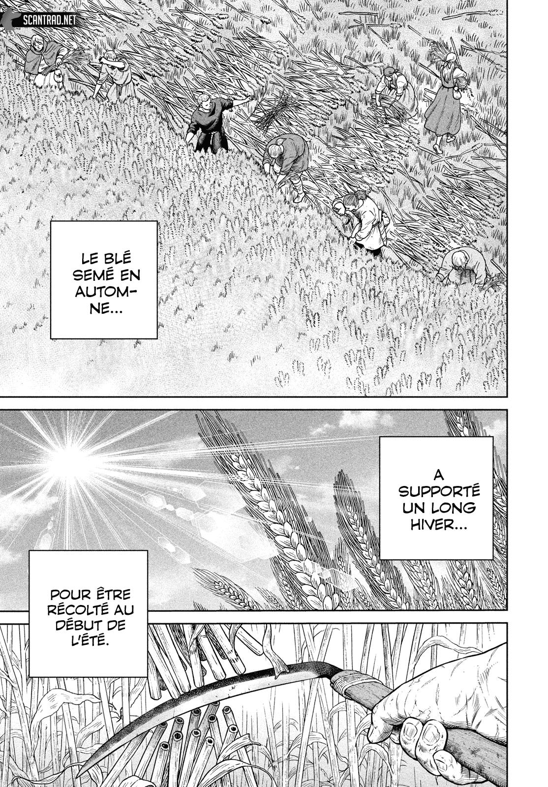 Read Vinland Saga FR Manga Online