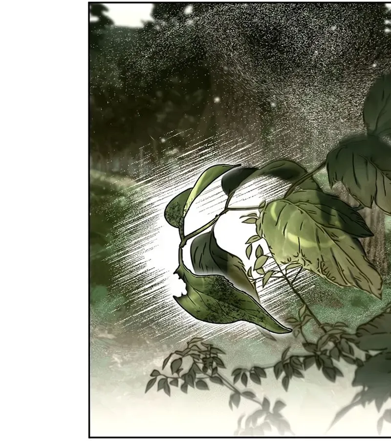 Read Eu me Tornei o Gênio Bastardo de um Nobre Clã Sombrio (PT-BR) PT Manga Online