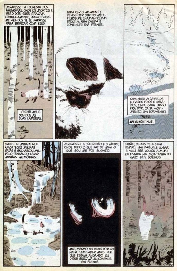 Read Sandman (PT-BR) PT Manga Online