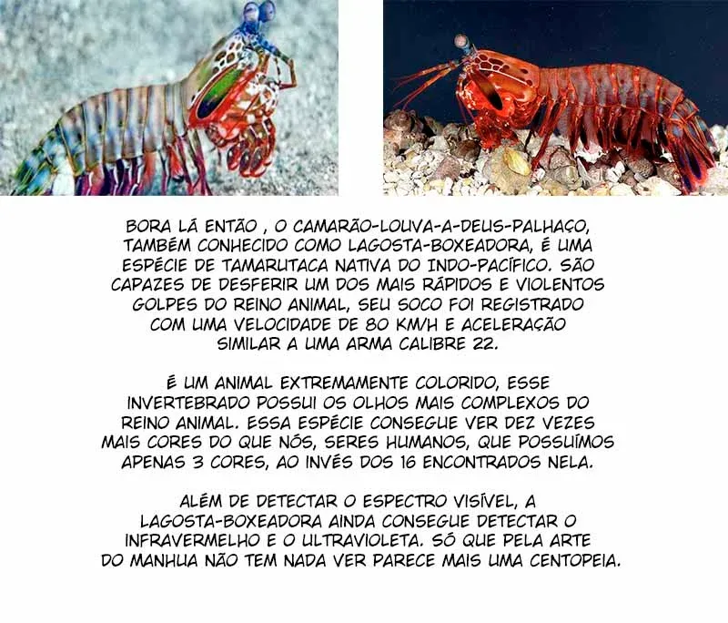 Read Supremo Sistema De Blefes (PT-BR) PT Manga Online